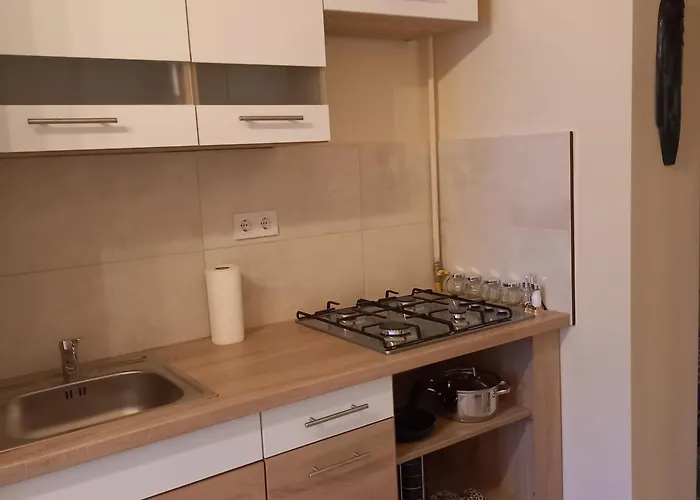 Alexa 아파트 페치